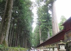 日光修学旅行