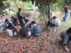 どんぐりひろい