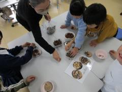 ２年　どんぐり工作