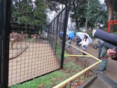 夢見ヶ崎動物公園見学