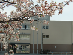 ホーム 川崎市立柿生小学校