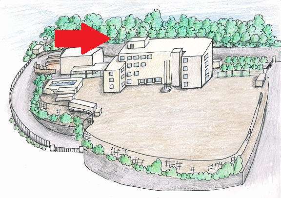 学校探検 校舎裏 川崎市立南菅中学校