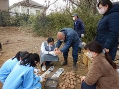 種植え5