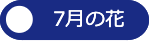 7月の花へ