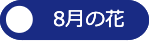 8月の花へ