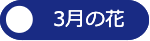 3月の花へ