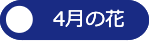 4月の花へ