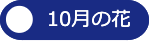 10月の花へ