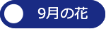 9月の花へ