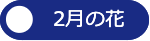 ２月の花へ
